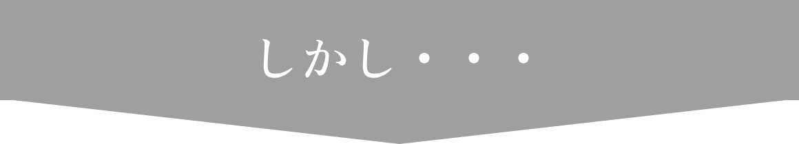 しかし・・・